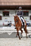 ref. photo 3220219