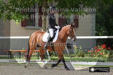 ref. photo 3220228