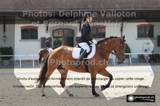 ref. photo 3220234