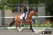 ref. photo 3220238