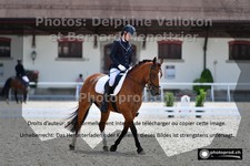 ref. photo 3220245