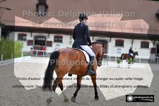 ref. photo 3220266