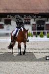 ref. photo 3220276