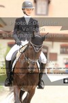 ref. photo 3220279
