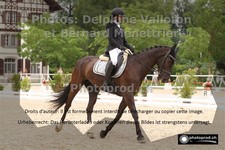 ref. photo 3220284