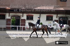ref. photo 3220305