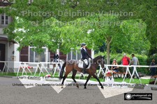 ref. photo 3220314