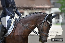 ref. photo 3220327