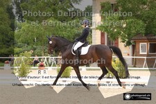 ref. photo 3220353