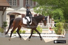 ref. photo 3220357