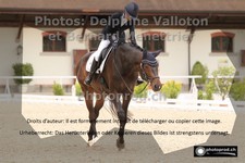 ref. photo 3220369
