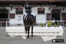 ref. photo 3220378