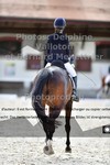 ref. photo 3220390