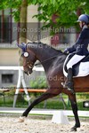 ref. photo 3220403