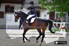 ref. photo 3220412