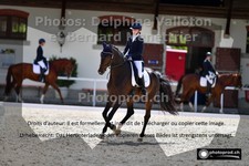 ref. photo 3220418