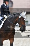 ref. photo 3220463