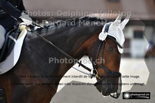 ref. photo 3220477