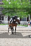 ref. photo 3220495