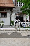 ref. photo 3220520
