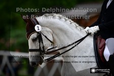 ref. photo 3220529