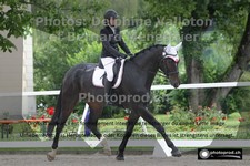 ref. photo 3220558