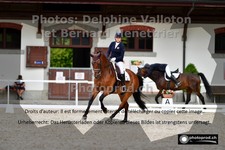 ref. photo 3220572