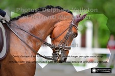 ref. photo 3220598