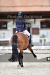 ref. photo 3220611