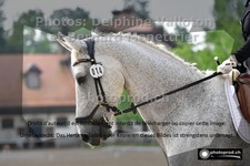 ref. photo 3220649
