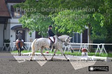 ref. photo 3220662