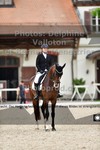 ref. photo 3220693