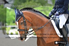 ref. photo 3220773