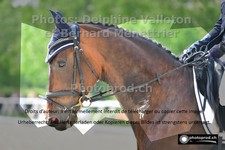 ref. photo 3220788