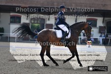 ref. photo 3220800