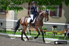 ref. photo 3220803