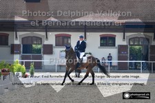 ref. photo 3220807