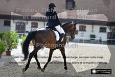 ref. photo 3220815