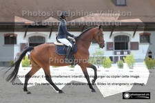ref. photo 3220832