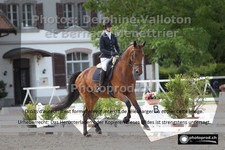 ref. photo 3220834