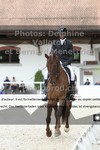 ref. photo 3220838