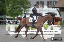 ref. photo 3220844