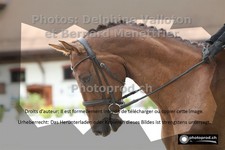 ref. photo 3220847