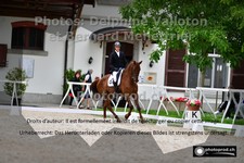 ref. photo 3220860