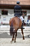 ref. photo 3220869
