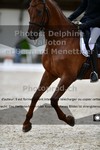 ref. photo 3220892