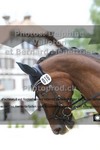 ref. photo 3220910