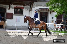 ref. photo 3220972