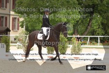 ref. photo 3221003