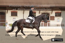 ref. photo 3221020